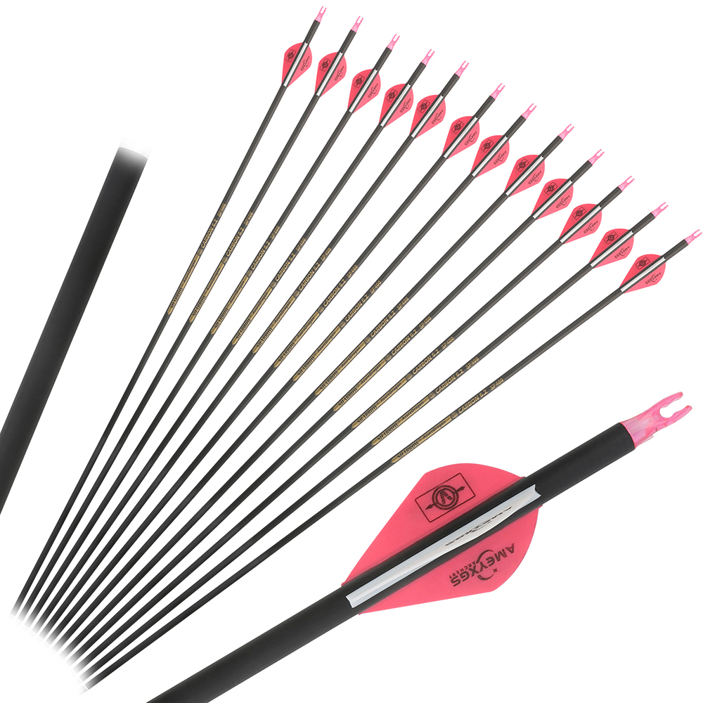 Archery Pure Carbon Arrows Spi - огляд і ціна Carbon Arrows 30 Inch Spine 400 500