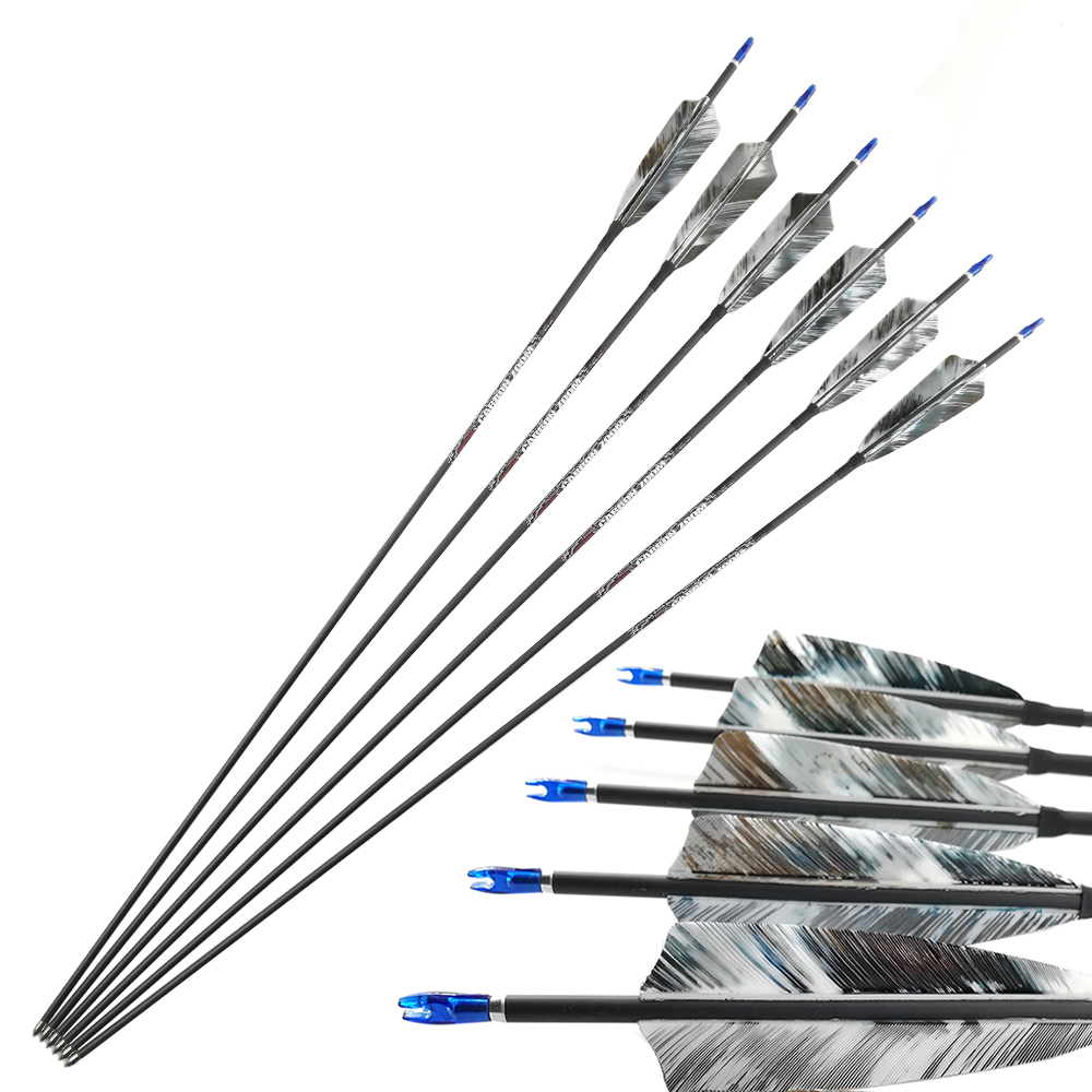 Pinals Archery Pure Carbon Arr - огляд і ціна Carbon Arrows 30 Inch Spine 400 500