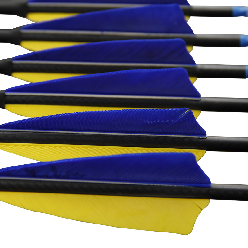 Archery 12Pcs 3K Pure Carbon A - огляд і ціна Carbon Arrows 30 Inch Spine 400 500